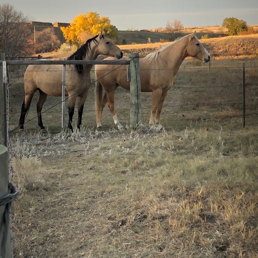 Meet your Posher, Rebecca